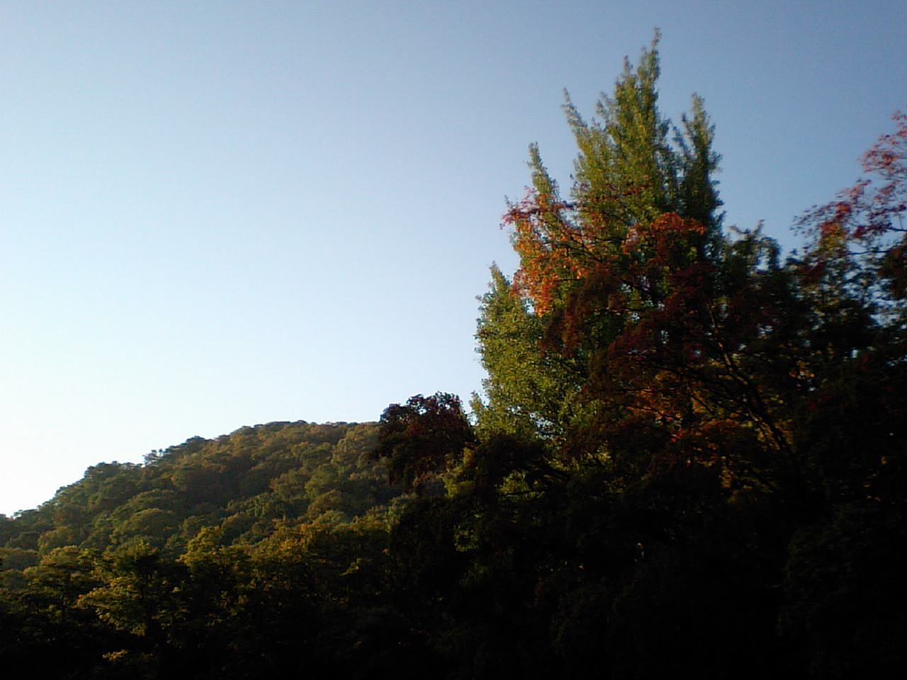 d0098665_9103634.jpg