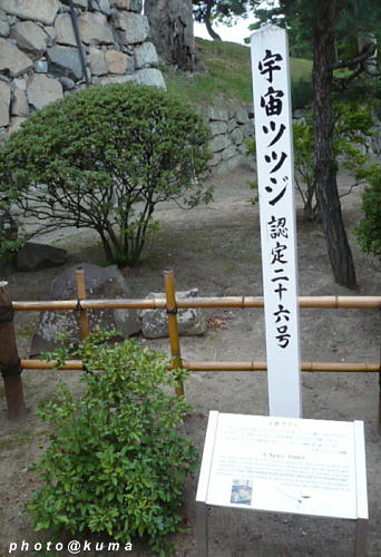 f0050468_2291994.jpg