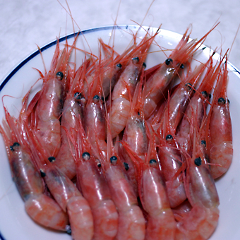 In praise of sweet shrimp_e0014773_18671.jpg