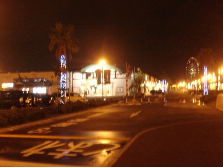 e0106479_1140257.jpg