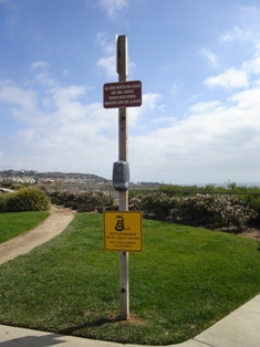f0144493_1182053.jpg