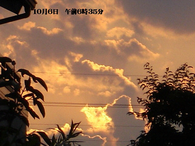 a0076594_15554340.jpg