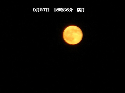 a0076594_15565722.jpg