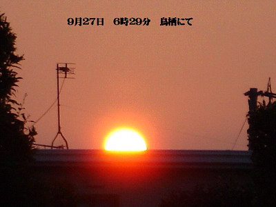 a0076594_1556985.jpg