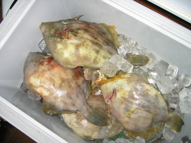 f0143299_3211021.jpg