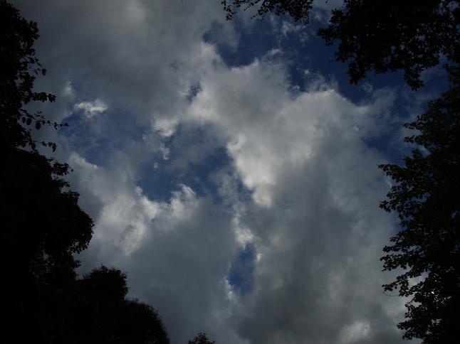 d0042500_1033546.jpg