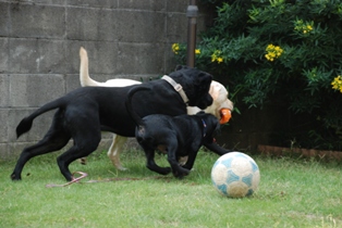 d0091700_21264876.jpg