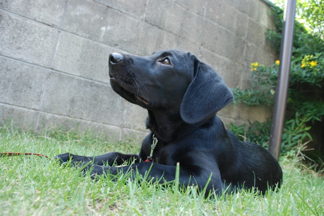 d0091700_21472518.jpg
