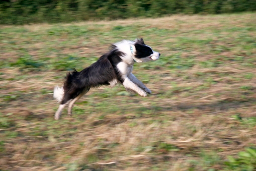 f0034602_2136496.jpg
