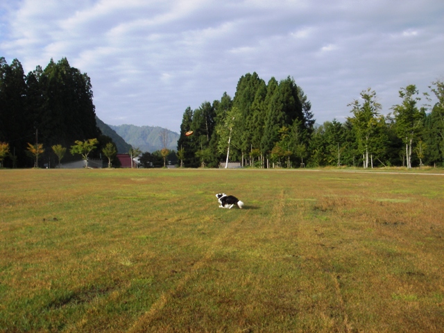 f0034602_21395023.jpg