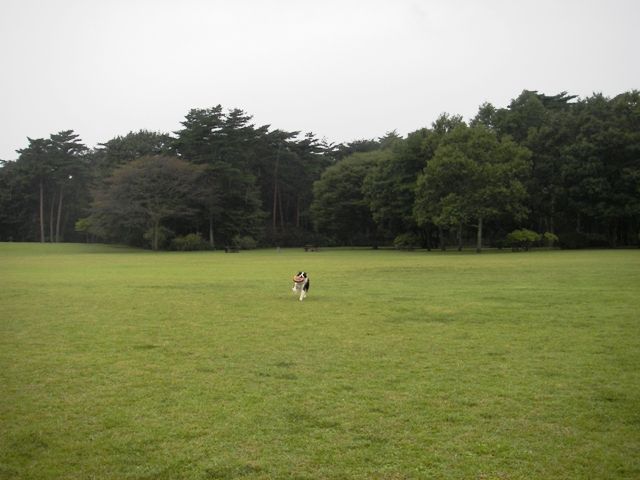 f0034602_2140171.jpg