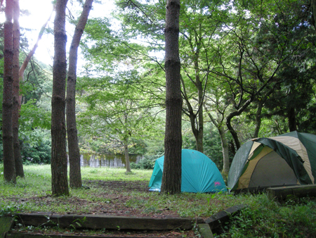 e0083204_13345759.jpg