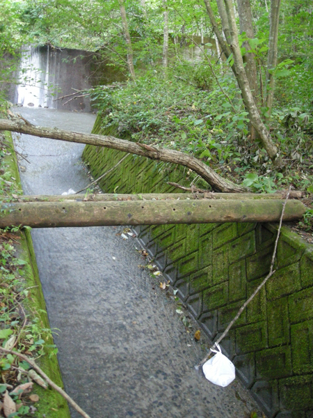 e0083204_13405248.jpg