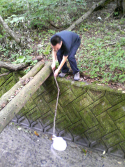 e0083204_13432635.jpg