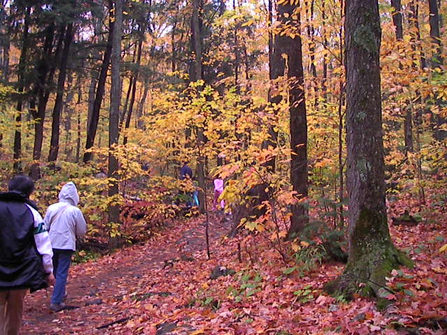 f0038407_12105758.jpg