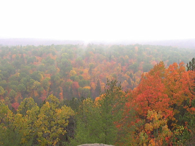 f0038407_1213494.jpg