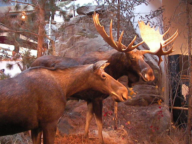 f0038407_12155969.jpg