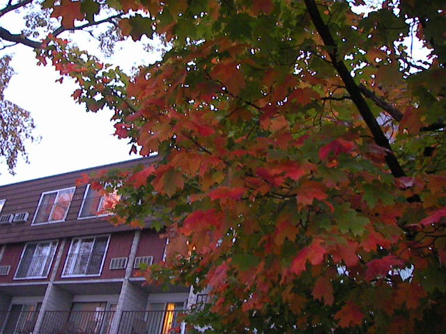 f0038407_123350.jpg