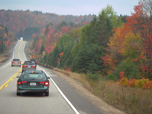 f0038407_1264563.jpg