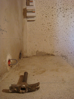 d0126508_731564.jpg