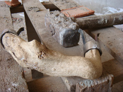 d0126508_752745.jpg