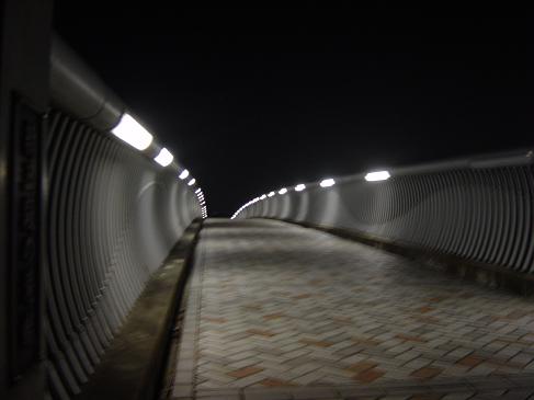 e0123808_2350467.jpg