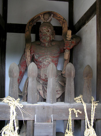 宇治田原 茶畑_e0048413_15271194.jpg
