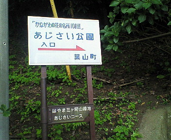 d0065116_18531884.jpg