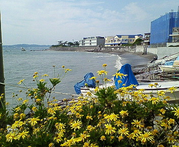 d0065116_18555244.jpg