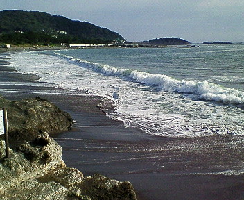d0065116_18565465.jpg