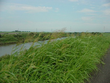 c0000718_16422144.jpg