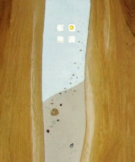e0010418_9512631.jpg