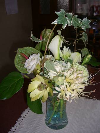d0065324_05645.jpg