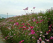 e0018024_22523310.jpg