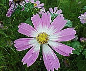 e0018024_2303271.jpg