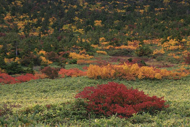 奥羽山脈　吾妻連峰　福島市山域の紅葉（１０月５日撮影）_d0106628_014638.jpg