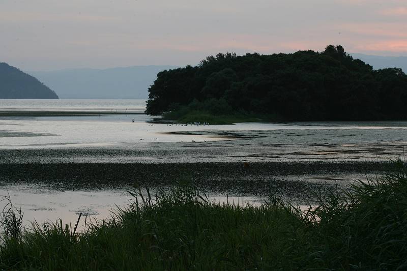 琵琶湖　湖畔の風景_d0106628_022714.jpg