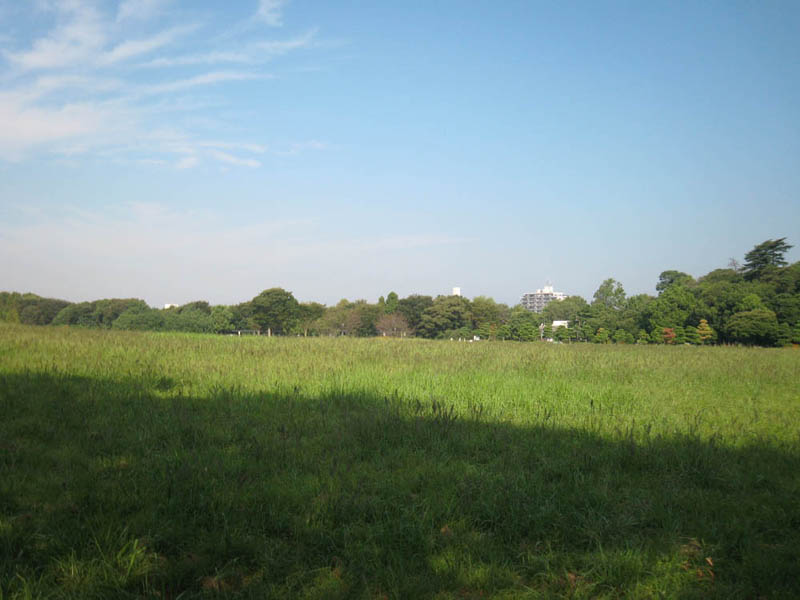 c0117831_21245375.jpg