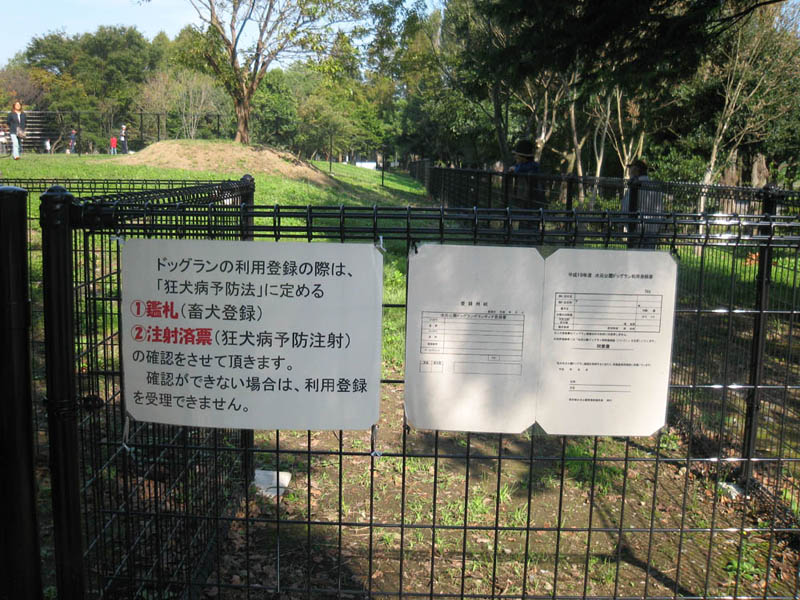 c0117831_21293816.jpg