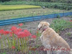10月の連休~♪_c0134734_23104247.jpg