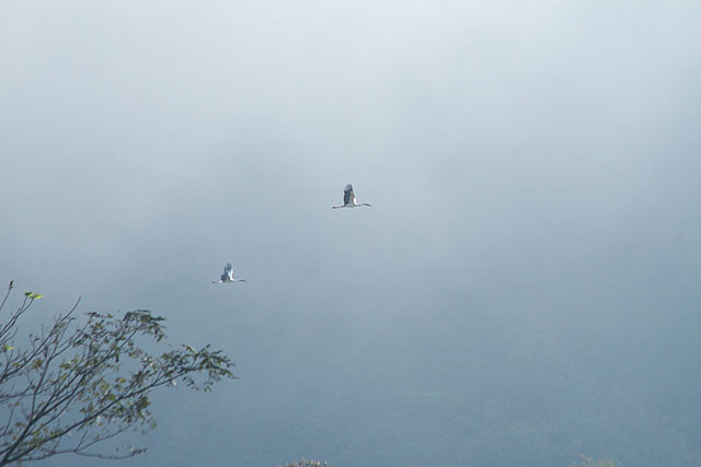 c0067040_2215567.jpg
