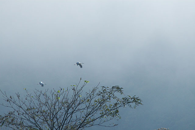 c0067040_22383087.jpg