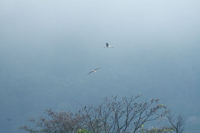 c0067040_22384430.jpg