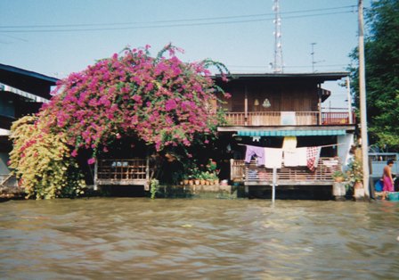 c0122445_88159.jpg