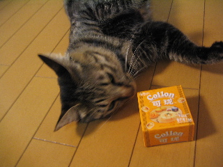 f0116546_230288.jpg