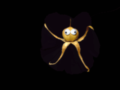 e0005548_19513390.gif
