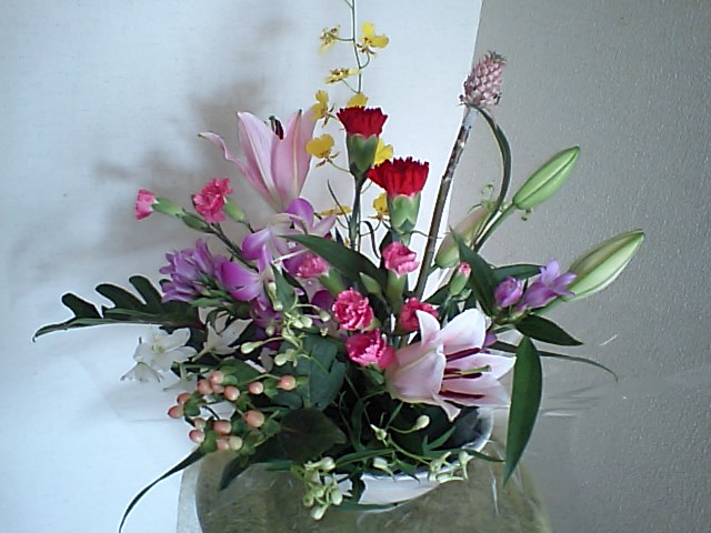 d0125059_148321.jpg