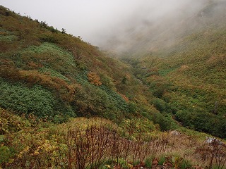 白山登山③_f0083262_013203.jpg