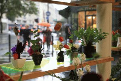 c0072971_14145893.gif