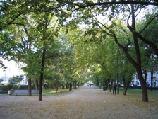 c0102375_3345759.jpg